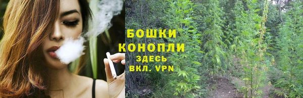 2c-b Алзамай