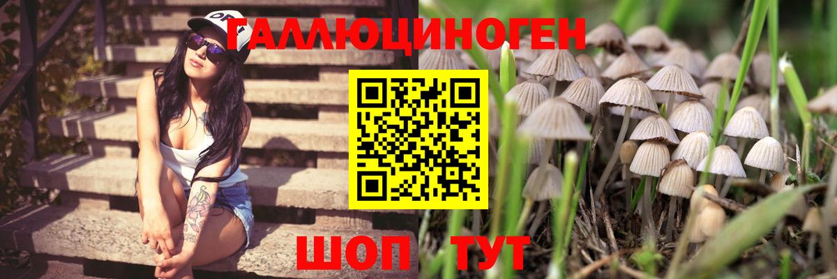 Псилоцибиновые грибы Psilocybine cubensis  Вход с VPN  Сибай 
